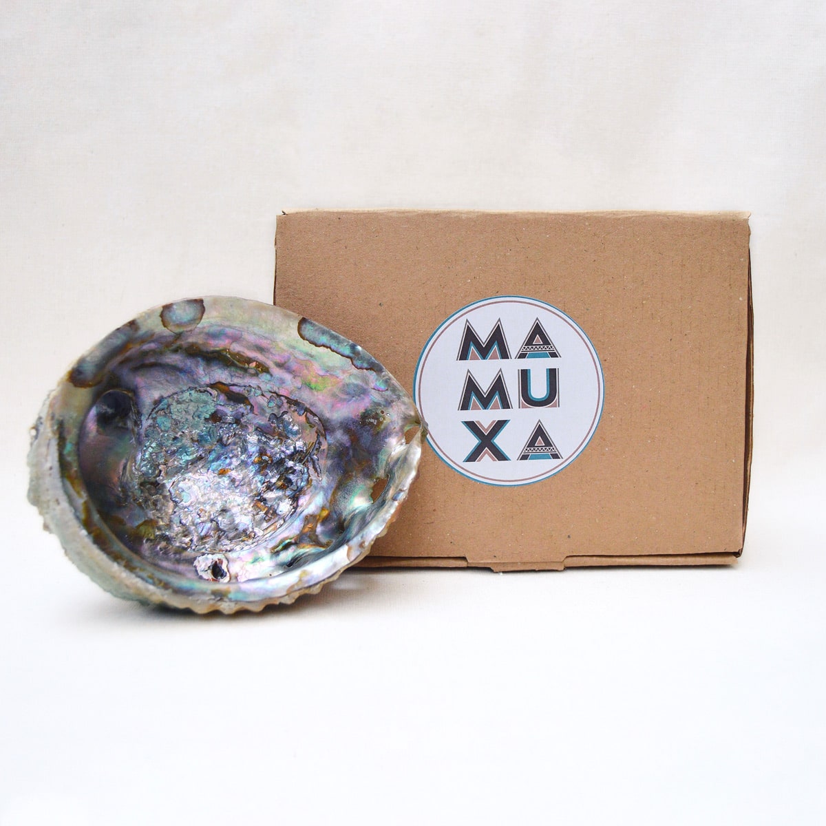 mmx-abalone-02-1.jpg Natural Abalone Sea Shell Incense Holder - Image 1
